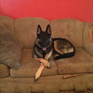 Meet your Posher, Chris